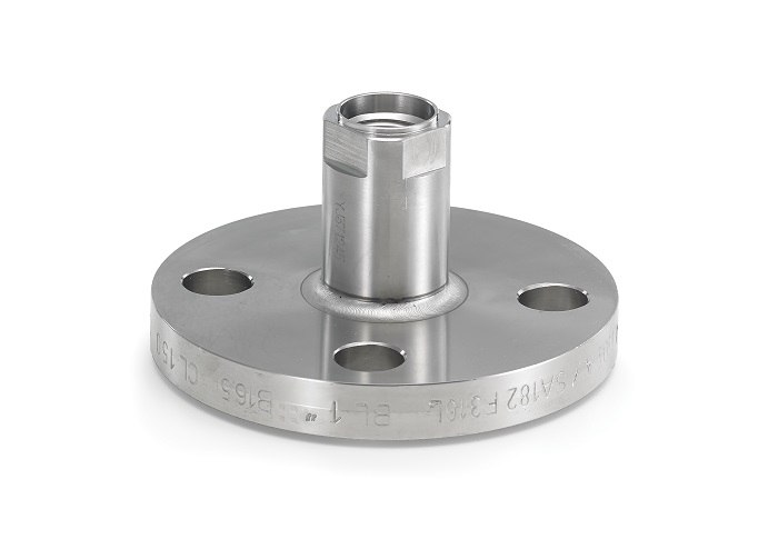 DF Flush Flanged Diaphragm Seal