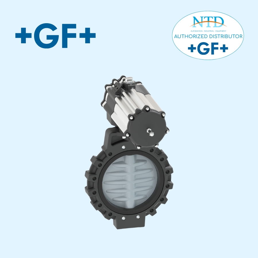 Van bướm 565 của GF