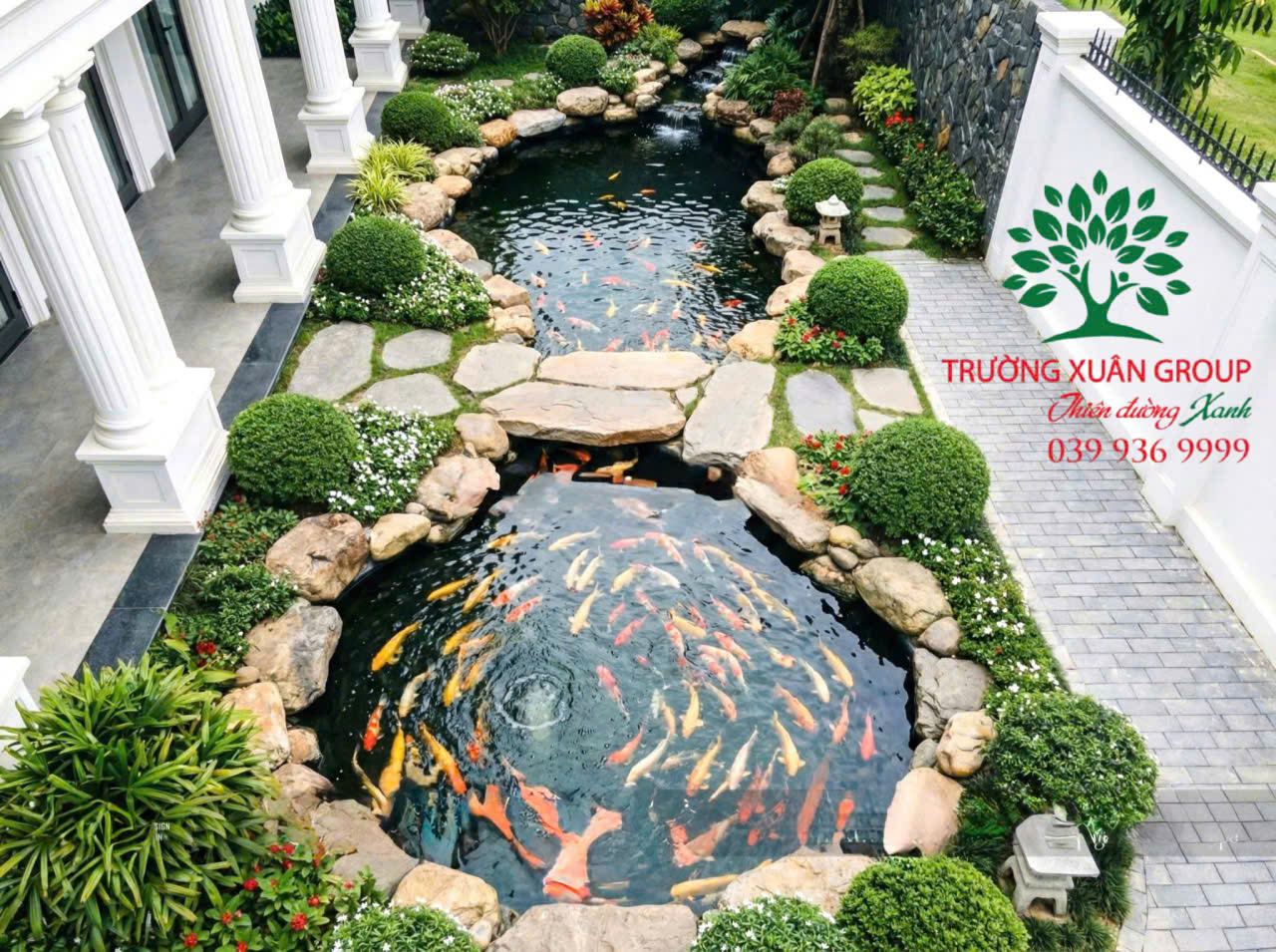 Hồ Cá Koi Phong Thuỷ - Luân Chuyển Sinh Khí, Tụ Lộc Tụ Tài