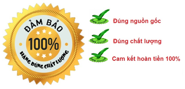 Thang nhôm nhập khẩu nên chọn thương hiệu nào