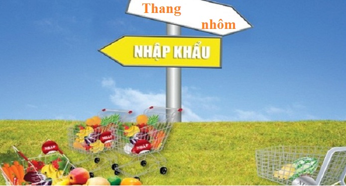 Thang nhôm nhập khẩu có những loại nào