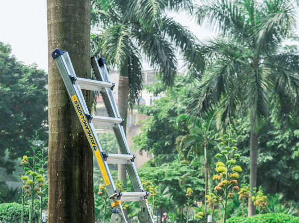 Thang nhôm Joongang Hàn quốc liên tục cháy hàng