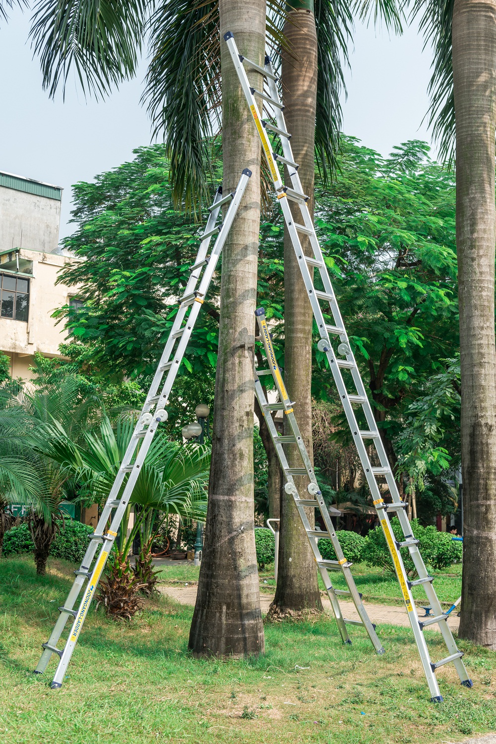 Chất lượng thang được đánh giá cao từ người dùng