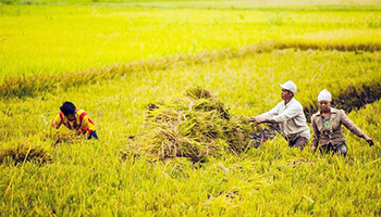 CÔNG TY TNHH SẢN PHẨM CÔNG NGHỆ CAO