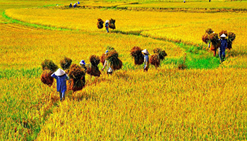 CÔNG TY TNHH SẢN PHẨM CÔNG NGHỆ CAO