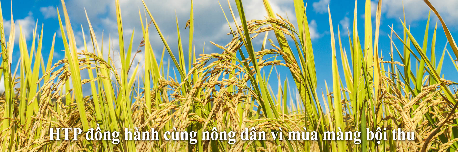 HTP đồng hành cùng nhà nông