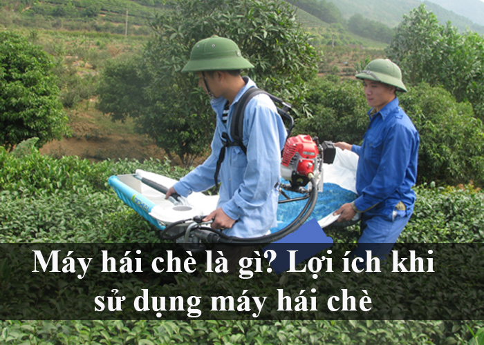 may-hai-che-la-gi-loi-ich-khi-su-dung-may-hai-che-chi-tiet-nhat