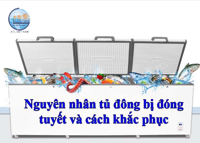 nguyen-nhan-tu-dong-bi-dong-tuyet-va-cach-khac-phuc-hieu-qua-nhat