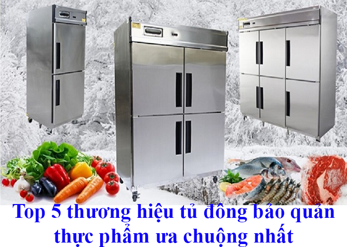 top-5-thuong-hieu-tu-dong-bao-quan-thuc-pham-duoc-ua-chuong-tai-viet-nam