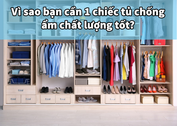 Vì sao bạn cần 1 chiếc tủ chống ẩm chất lượng tốt?