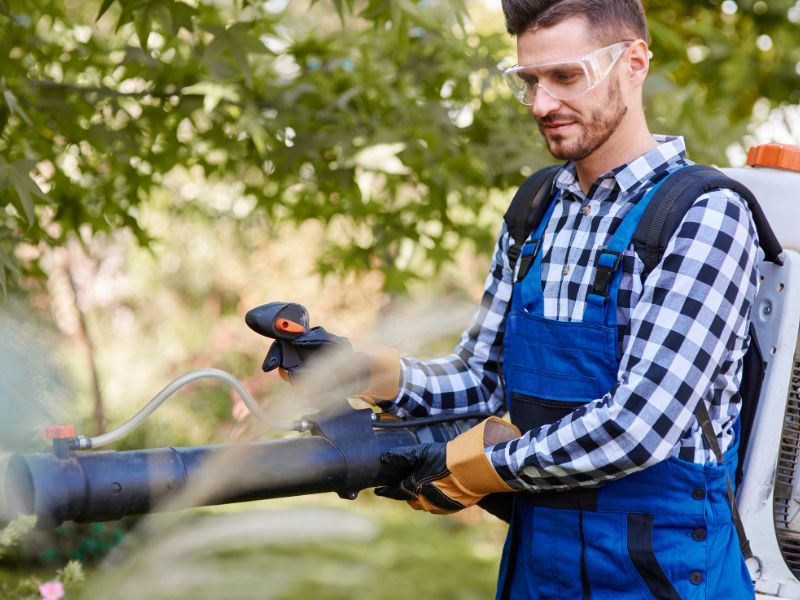 Máy thổi lá và công dụng