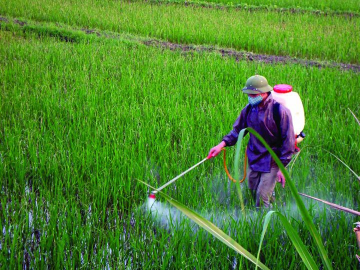Cấu tạo của máy phun thuốc