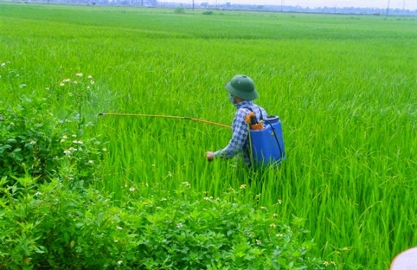 Cấu tạo của máy phun thuốc