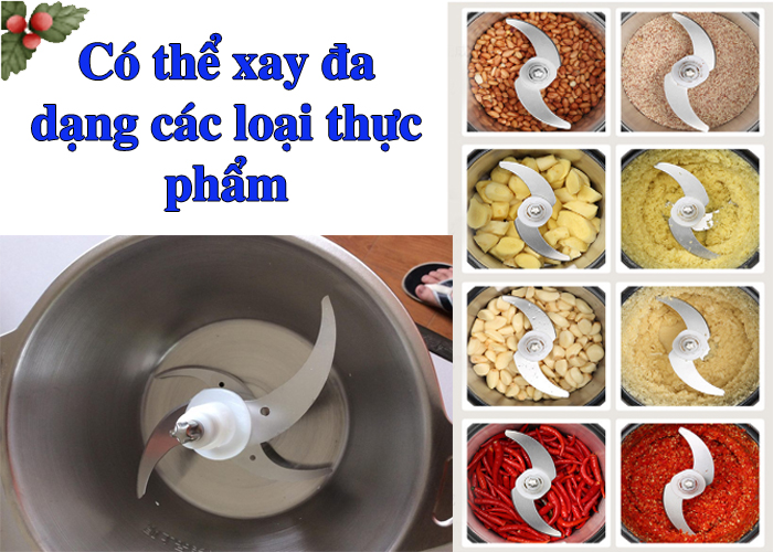 Có teher xay đa dạng các loại thực phẩm