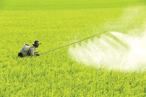 Hướng dẫn cách sử dụng máy phun thuốc đeo vai 