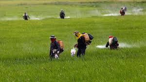 Hướng dẫn cách sử dụng bình xịt điện hiệu quả, an toàn