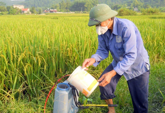 Lưu ý khi sử dụng máy phun thuốc