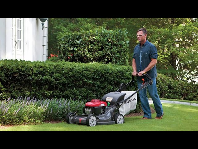 Máy cắt cỏ Honda và những điểm nổi bật mà bạn cần biết