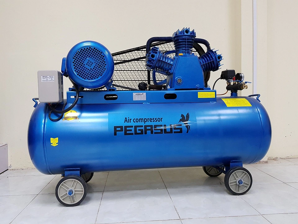  Máy Nén Khí Dây Đai Pegasus 15HP TM-W-1.6/12.5-500L