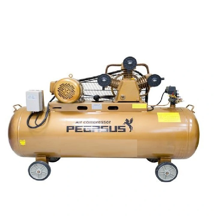  Máy Nén Khí Dây Đai Pegasus 15HP TM-W-1.6/12.5-500L
