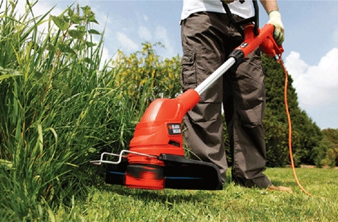 Những lưu ý quan trọng khi mua máy cắt cỏ 