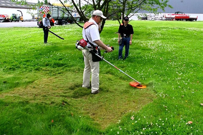 Tiêu chí lựa chọn máy cắt cỏ tốt