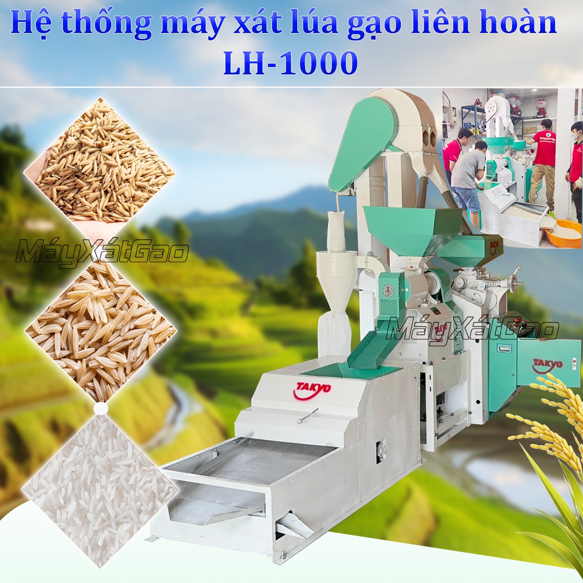 Máy xát lúa gạo liên hoàn LH 1000