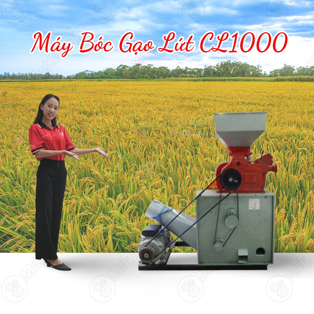 Máy bóc gạo lức CL 1000
