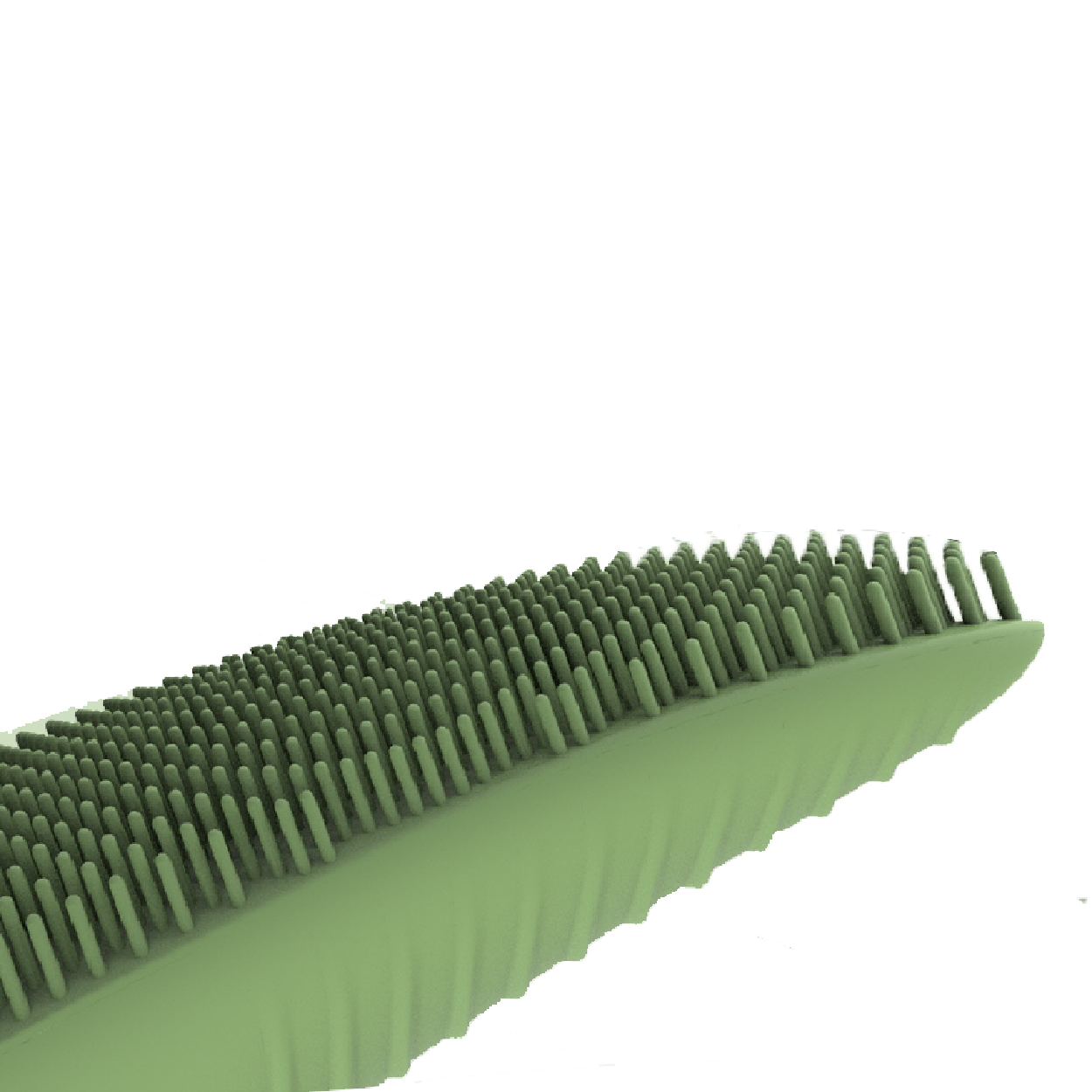 May Rửa Mặt Juvera S Juvera Vietnam