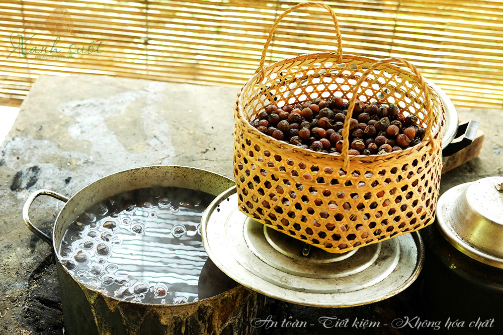 Quả Bồ Hòn Dùng Để Làm Gì