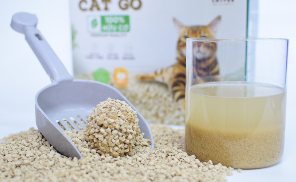 cát mèo hữu cơ mua ở đâu