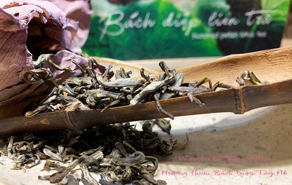 trà sen bách diệp sấy nguyên bông dã vị mua ở đâu