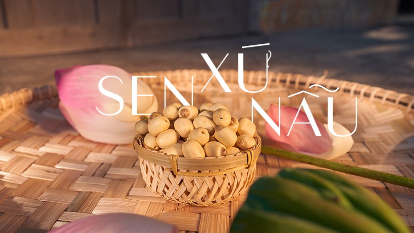 mua sen gò phú yên ở đâu