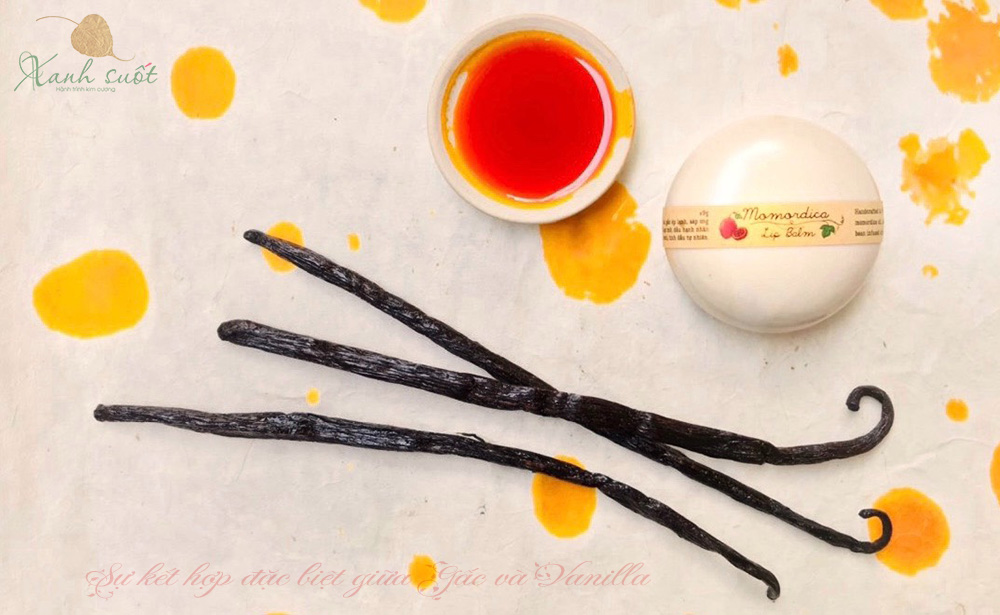 Làm son dưỡng môi từ gấc