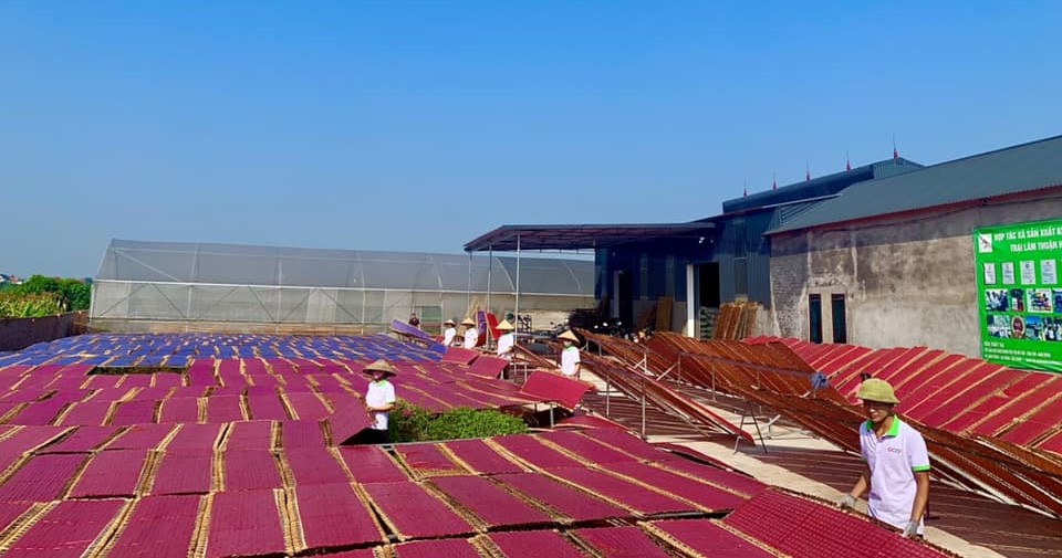 bún gạo lứt cho người ăn kiêng, tiểu đường