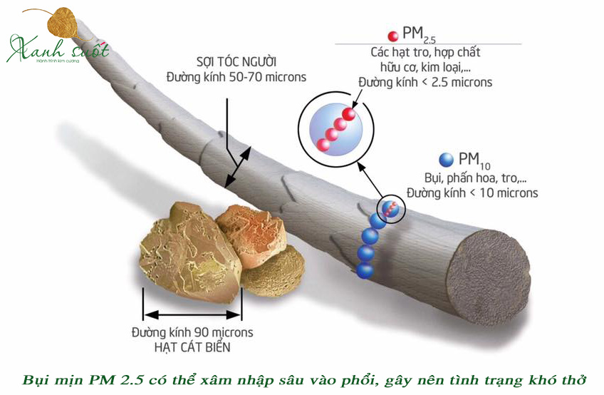 Tác hại của bụi mịn PM 2.5 tới sức khỏe