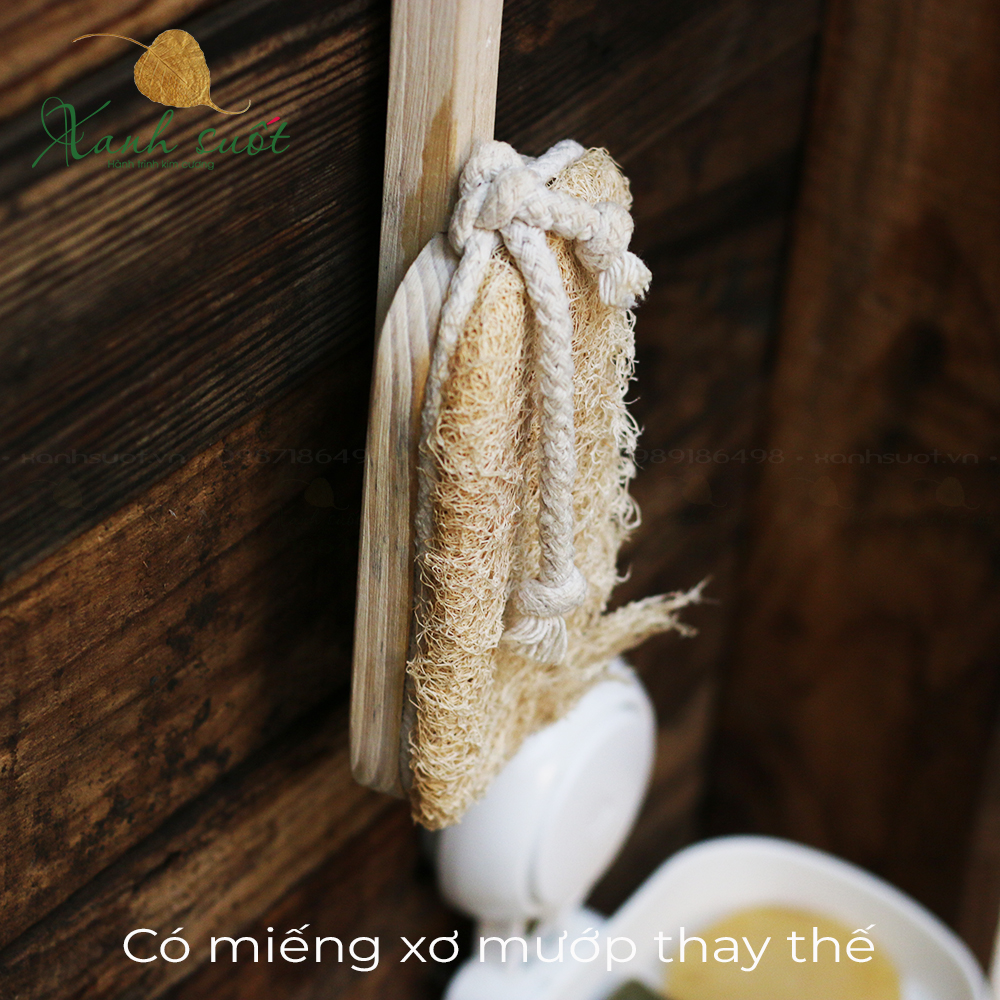 cây chà lưng có thể thay thế