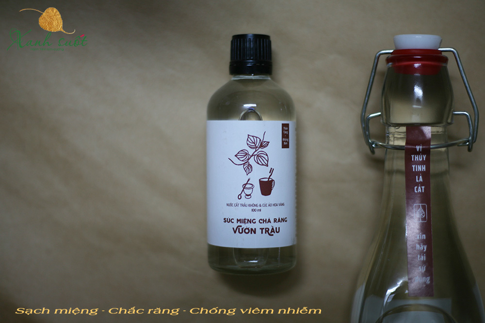 Nước súc miệng từ lá trầu không