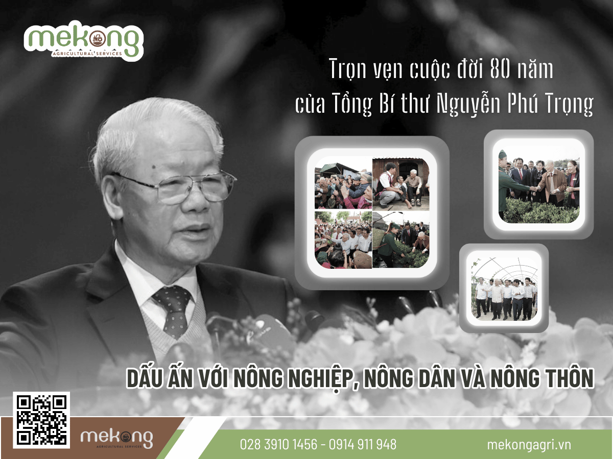 Một số hình ảnh hoạt động của Tổng Bí thư Nguyễn Phú Trọng lúc đương thời