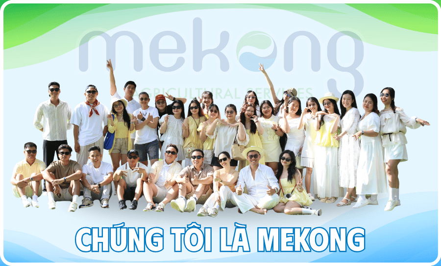 NỀN TẢNG CHO NÔNG NGHIỆP BỀN VỮNG