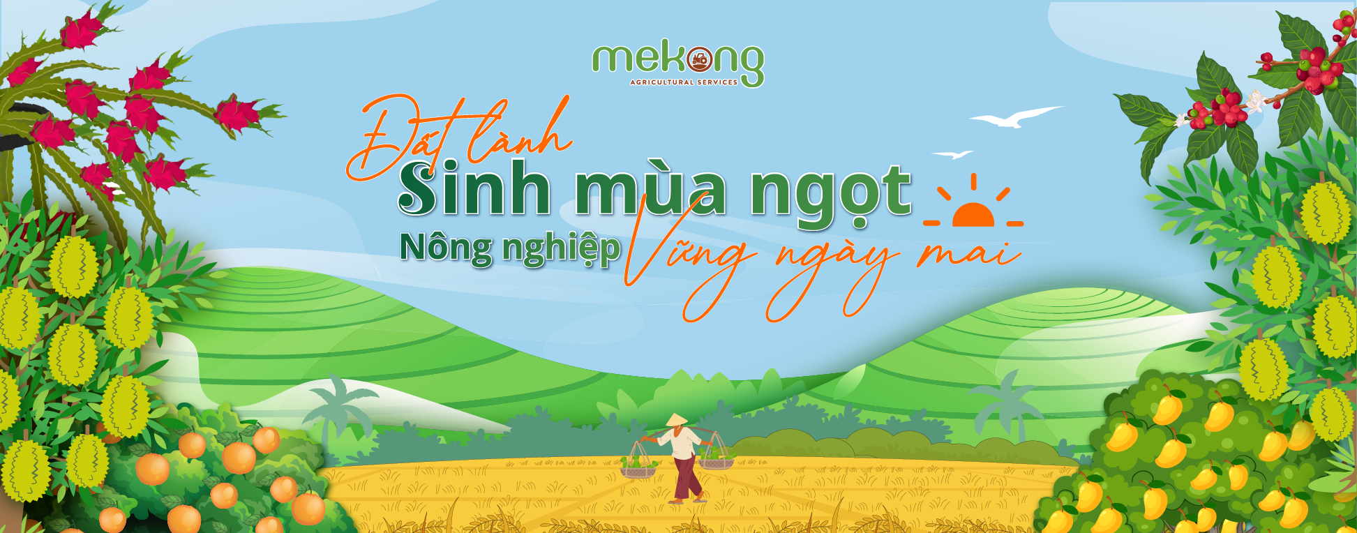 Sản phẩm