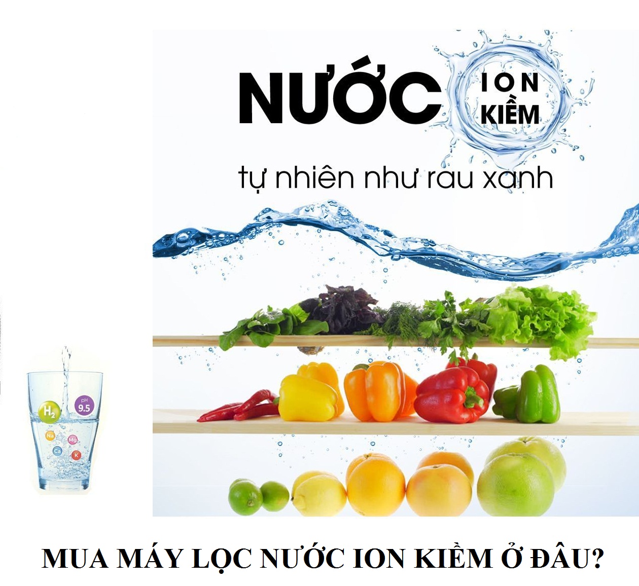 Mua máy lọc nước ion kiềm ở đâu? Gợi ý địa chỉ uy tín, chất lượng nhất