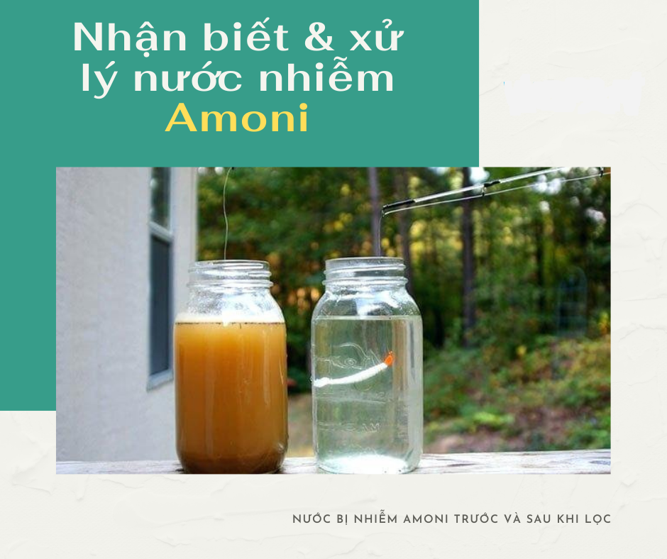 Nước nhiễm Amoni – Nhận biết và cách xử lý nước nhiễm amoni hiệu quả