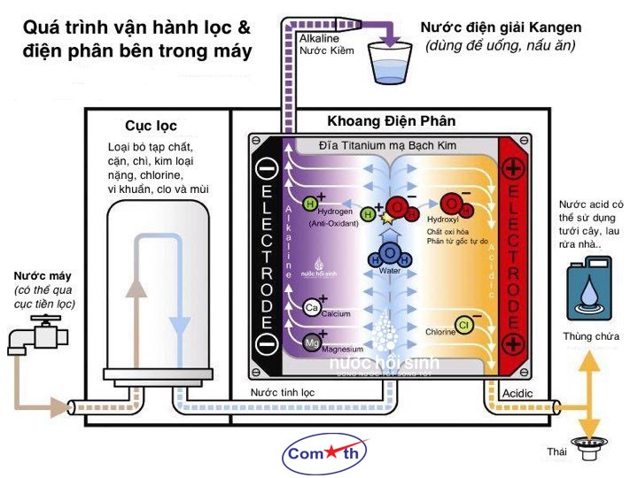 Máy điện giải ion kiềm – Cấu tạo, cách thức hoạt động, công dụng và giá thành