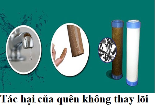 Quên thay lõi lọc nước – bất cẩn, chủ quan gây ra tác hại khôn lường