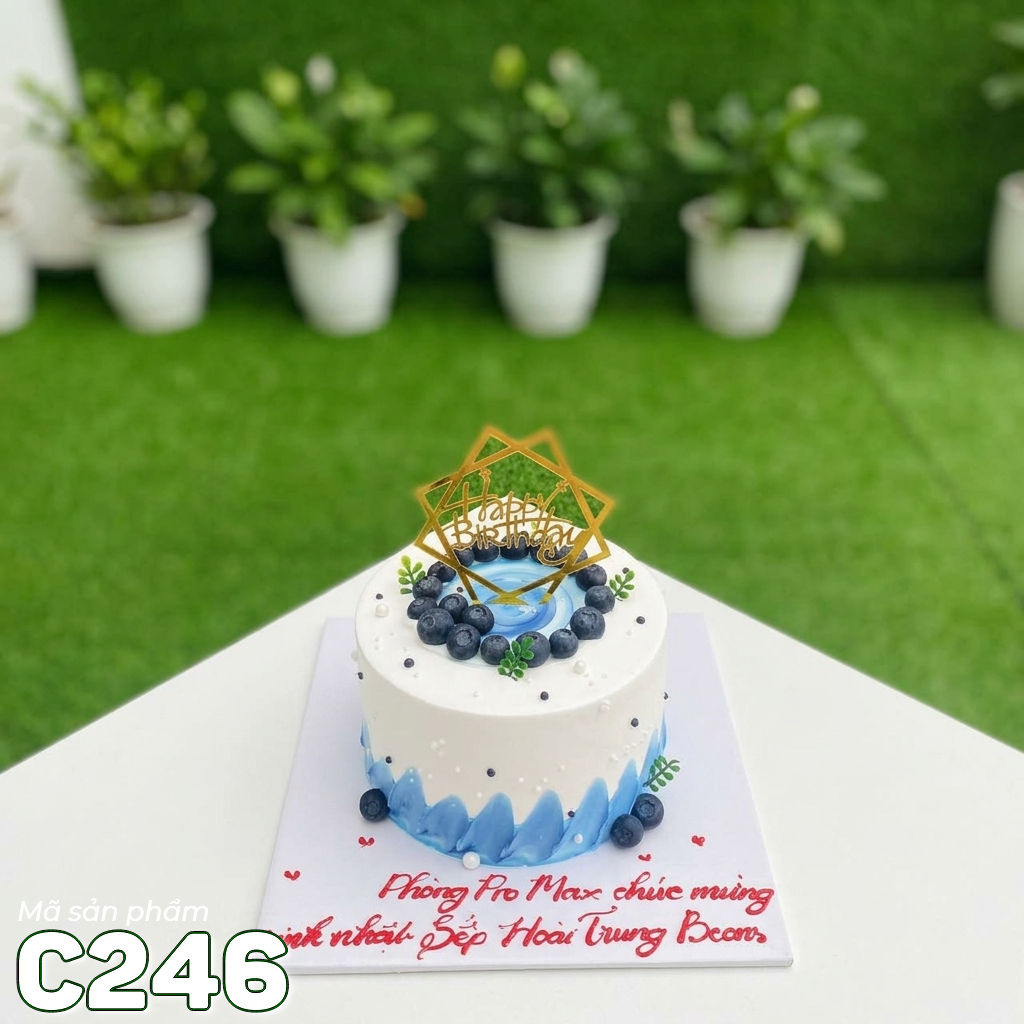 Bánh kem mini C246 viền xanh mix việt quất tươi