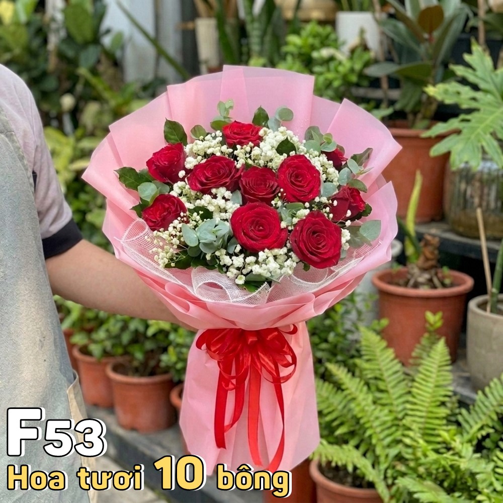 Bó hoa tươi F53 10 bông hồng đỏ