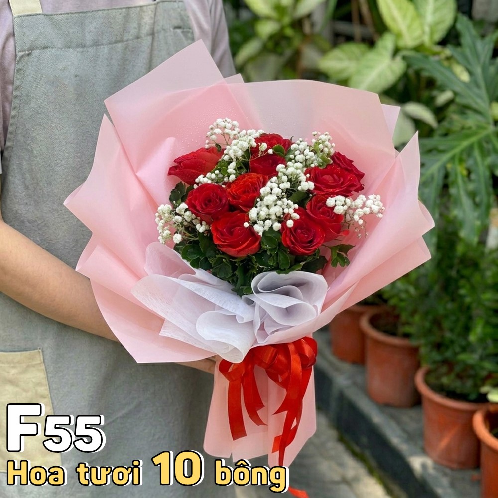 Bó hoa tươi F55 10 bông hồng đỏ