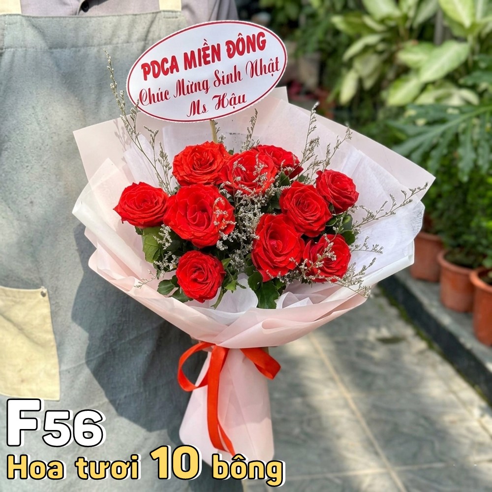 Bó hoa tươi F56 10 bông hồng đỏ