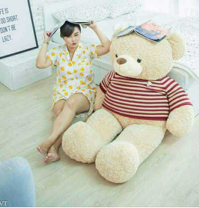 GB20 Gấu bông Teddy trắng
